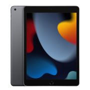 Apple iPad 9 10.2-inch 256Gb Wifi+Cellular Space Gray Refurbished